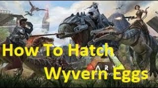 ARK Survival Evolved  Ragnarok  How To Hatch Wyvern Eggs  1 [upl. by Wolram]