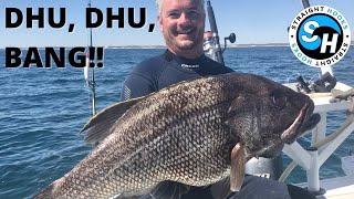 African Reef Geraldton Western Australia Spearfishing [upl. by Ssor]