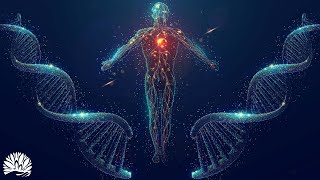 Full Body Healing Frequencies 528Hz  Alpha Waves Massage The Whole Body Regeneration Aging Cells [upl. by Gilberto]