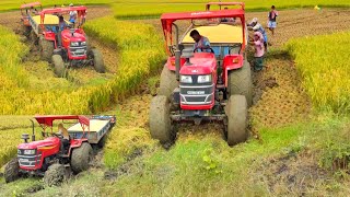 Mahindra yuvo 575 4wd tractor ka Power paddy load trolley  Load trolley tractor stuck in mud [upl. by Akienaj]