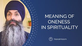 Meaning Of Oneness In Spirituality  You Are Not Your Body [upl. by Balac]