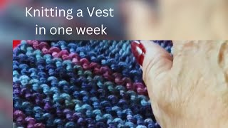 I Knit a vest in one week [upl. by Inad906]