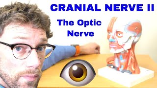 How To Perform Optic Nerve Examination  Cranial Nerve II Examination OSCE  Dr Gill [upl. by Airotal893]