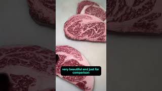 A5 vs A4 vs A3 Wagyu can you spot the difference  wagyu A5 A4 A3 steak [upl. by Nyar123]