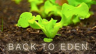 Back To Eden Gardening Documentary Film  How to Grow a Regenerative Organic Garden [upl. by Ilohcin]