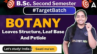 Leaves Structure Leaf Base And Petiole  BSc Botany 2nd Semester  Swati Maam [upl. by Willow817]