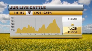 Livestock Market Coverage with Oliver Sloup on RFDTV [upl. by Tebzil]