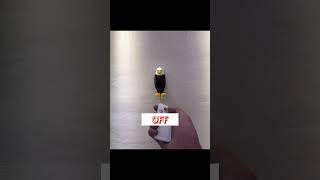 Dark Secret of This Eagle Lamp [upl. by Namra]