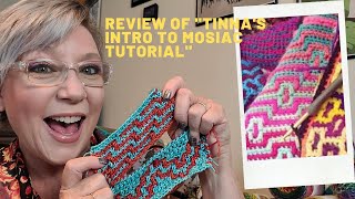 Review of Tinna Thorudottirs quotBeginners Guide to Mosaic Crochetquot and quotIntroduction Chartsquot [upl. by Hecht]