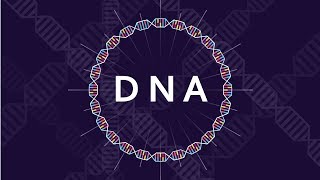 What is DNA and How Does it Work  Basics of DNA [upl. by Graff]