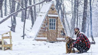 BLIZZARD AT THE CABIN  2 Days in a Winter Storm with my Dog [upl. by Dunham459]