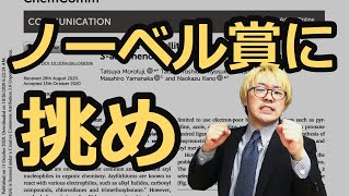 有機化学の研究論文出したから自分で解説してみた②クロスカップリング反応をメタルフリーで行えるSarylphenothiazinium ion【ノーベル賞解説＆論文紹介】 [upl. by Bencion]