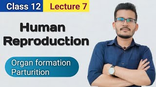 Lec 7 OrganogenesisParturitionLactation [upl. by Ahsinek]