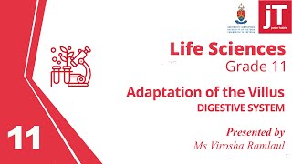 1 Gr 11  Life Sciences  Digestive System  Adaptations of the Villus [upl. by Nilrak]