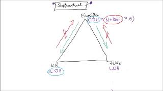 Stoffwechsel einfach erklärt Teil 1 [upl. by Joly]