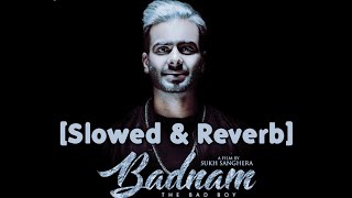 Badnam SlowedReverb Mankirt Aulakh  Lofi Songs audioempire4759​ [upl. by Cirre]