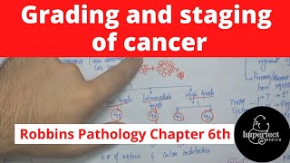 Grading and Staging of CancerRobbins Pathology chapter 6 pathology generalpathology neoplasia [upl. by Warder]