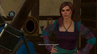 Take the Script to Irina Renarde I Witcher 3 [upl. by Aikemehs]