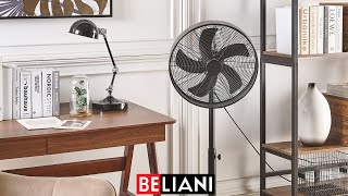 BELIANI  Standventilator NENE schwarz [upl. by Bottali]