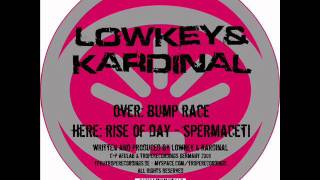 Lowkey amp Kardinal Rise of dayAfulab 06 [upl. by Ennaxor316]