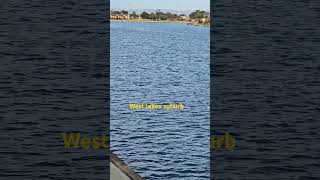 West lakes suburb AdelaideAustralia westlake adelaide australianature austr [upl. by Phyl]