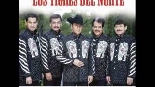 la manzanita los tigres del norte [upl. by Hanah]