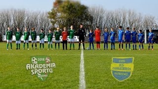 Akademia Sportu Wronki vs KS Canarinhos Skórzewo 27102024 [upl. by Marilou198]