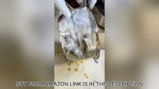 Buy from Amazon  Kitchen Cleaning Spray [upl. by Lynnett76]