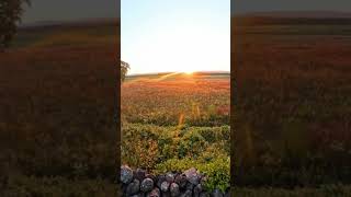 Gettysburg at sunset [upl. by Allyson64]