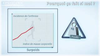 Lutter contre larthrose de la hanche ou coxarthrose   Arthrolink [upl. by Pacheco503]