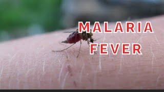 know about malaria and their treatment [upl. by Carolyne]