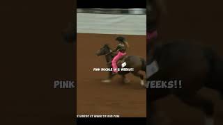 pink buckle in 2 weeks horse pinkbuckle pony horsegirls [upl. by Aiouqes]