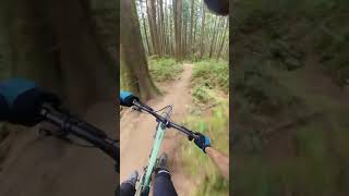 Following an mtb legend down this classic PNW trail mtb CyclesDevinci Troy [upl. by Lavro]