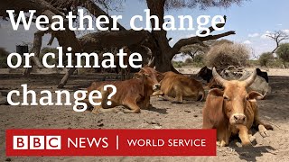 When does weather change become climate change  BBC World Service [upl. by Enuahs15]