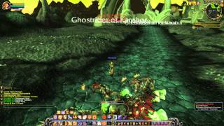 Quest 996 Divination Gorefiends Truncheon WoW human paladin [upl. by Meedan]