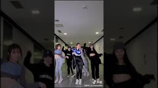 李玟COCO LEE抖音TikTok  兩隻老虎愛跳舞？ [upl. by Oileve]