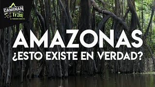 VER PARA CREER LA SELVA SE PRONUNCIA Natamú en el Amazonas  CaminanTr3s El tercero eres tú [upl. by Kinzer175]