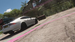 Forza Horizon 5 Purrfectly Clean Treasure Hunt Guide – Clue Solution Treasure Chest Location [upl. by Anekam]