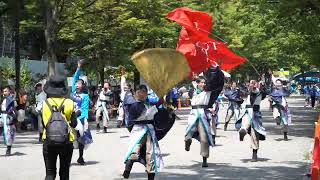 TOKYO PHANTOM ORCHESTRA【4K】／NHK前ストリート／原宿表参道元氣祭スーパーよさこい 2024（初日） [upl. by Edna]