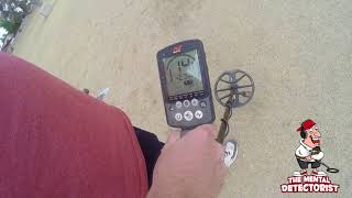 Minelab Equinox 800 Gold ring Depth [upl. by Biggs507]