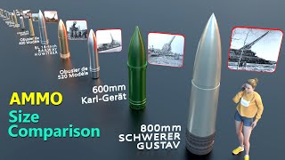 Smallest to Historical Largest Ammunition Size Comparison [upl. by Koal79]