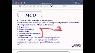 Pharmacology  sympathetic system 2 [upl. by Anomis392]