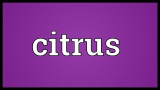 Citrus Meaning [upl. by Sanford]