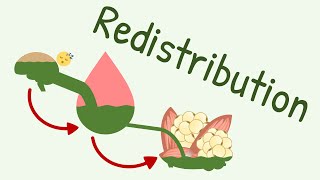 Redistribution Pharmacokinetics [upl. by Monte]