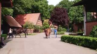 Tierklinik Brockhagen Unternehmensfilm [upl. by Grazia144]