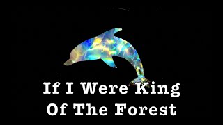 If I Were King Of The Forest  Karaoke  The Wizard Of Oz [upl. by Cirdet]