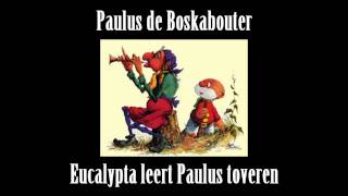 Paulus de Boskabouter 3  Eucalypta leert paulus toveren [upl. by Eelynnhoj606]