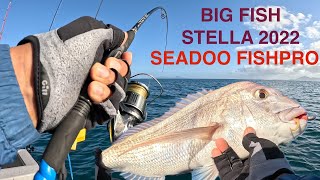 BIG FISH 2022 STELLA SEADOO FISH PRO JETSKI FISHING SOFTBAITING NEW ZEALAND [upl. by Monagan]