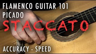 Flamenco Guitar 101  06  Picado Accuracy  Speed [upl. by Oyr]