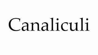 How to Pronounce Canaliculi [upl. by Eedahs]